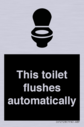 this-toilet-flushes-automatically~